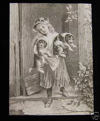 VICTORIAN Glass Magic Lantern Slide GIRL WITH TWO PUPPIES C1890  • £15