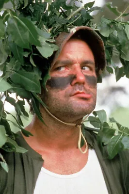 $25.40 • Buy Caddyshack Bill Murray In Camouflage And Face Paint 24X18 Poster()
