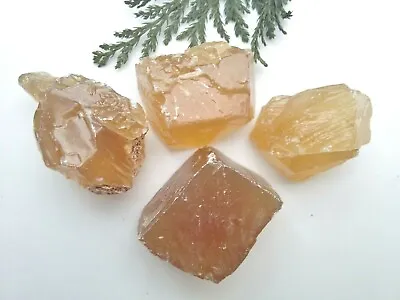 Natural Raw CRYSTAL & FOSSIL SPECIMENS - Huge Choice! Reiki Rough Gemstones • £3.99