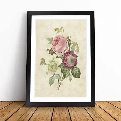 £14.95 • Buy Pink Anemone Rose Flowers Pierre-Joseph Redoute Framed Wall Art Print Canvas