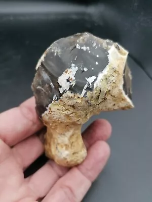 Middle Paleolithic Neanderthal Mousterian Semi-circular Scraper North Of France • $65