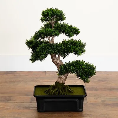 2’ Cedar Bonsai Plant “Realistic Look” In Decorative Planter. Retail $154 • $119