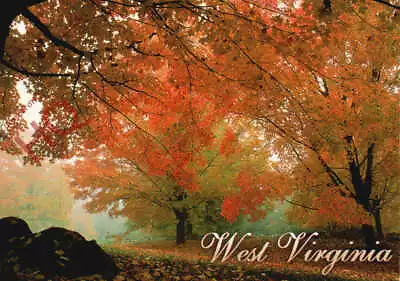 Picture Postcard-:West Virginia Martinsburg Fall Colors In War Memorial Park • £3.49