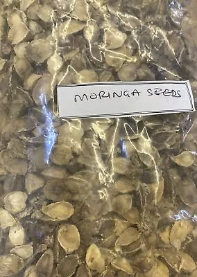 £9 • Buy Organic Moringa Seeds 100g  General Well Being
