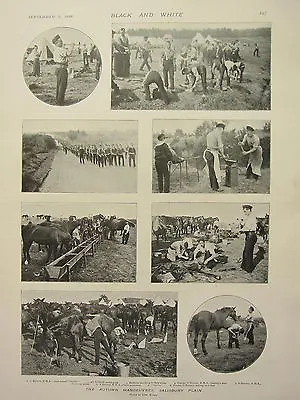 1898 Print ~ Autumn Manoeuvres Salisbury Plain Battery R.h.a Stables Horses • £58