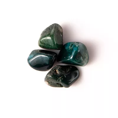 25g Tumbled Green Moss Agate Gemstone Crystals 3-6 Stones Gems Rocks Specimens • $8.99