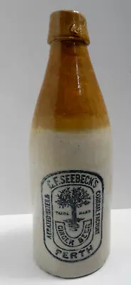 Antique C.f.seebeck's Perth Tree Stoneware Bendigo Pottery Ginger Beer Bottle • $169