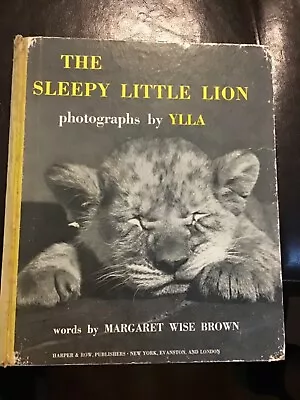 The Sleepy Little Lion Book - Photographs By YLLA & Words By Margaret Wise Brown • $5.99