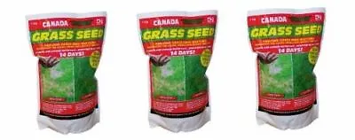 £59.99 • Buy 3kg Of Genuine Original Canada Green Grass Seed Fast Growing 1500sq Ft Free P&p
