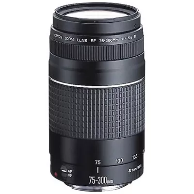 Canon EF 75-300mm F4-5.6 Telephoto Lens • $288.85