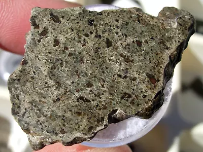 5.60 Grams 40x25x2mm Slice Amgala 001 Martian Shergottite Mars Meteorite COA • $349.99