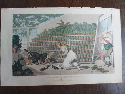 £6.50 • Buy Aquatint Print - 1821 Dr Syntax Misfortune At Tulip Hall T Rowlandson