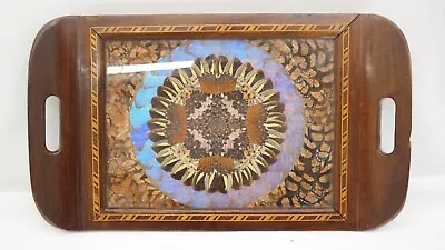 Vintage Inlaid Wood Serving Tray Butterfly Wings Circular Pattern W/ Glass Top • $149.99