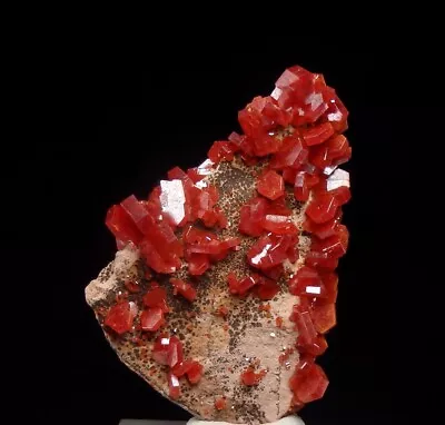 VANADINITE Beautiful RED Lustrous Crystals ! MOROCCO Mibladen /pi837 • $39.99