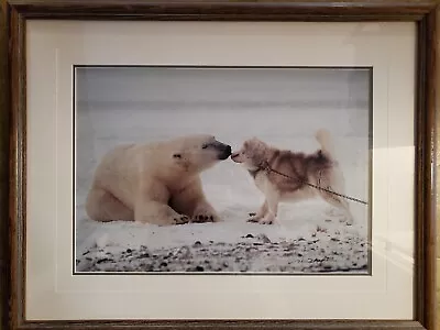 Thomas D. Mangelsen Signed Polar Kiss Limited Edition1097/2000 • $725