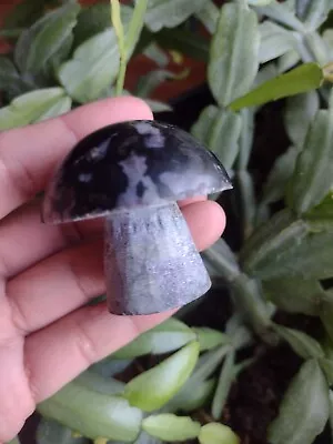 Indigo Gabbro Mystic Merlinite Mushroom Crystal Stone Carving  • $22