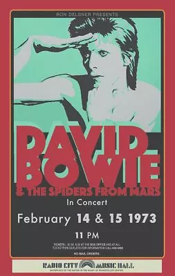 $18.95 • Buy David Bowie 13  X 19  Concert Mini Poster Re-Print Photo 