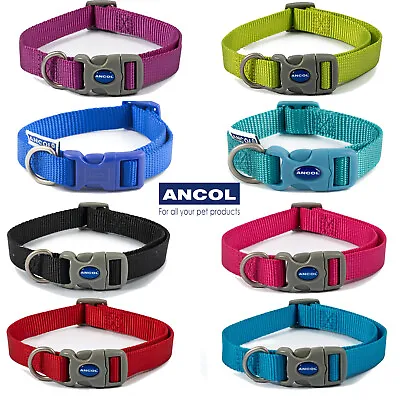 £4.99 • Buy Ancol Dog Collar Adjustable Nylon Clip Red Black Blue Pink Purple Teal Puppy 