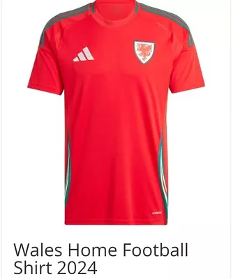 Wales 2024 Football Shirt HOME XL • £25