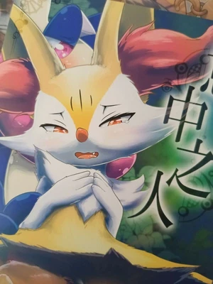 $29.99 • Buy Doujinshi Kemono Pokemon Kawazoko (B5 - 40 Pages) Braixen X Greninja Kikunyi
