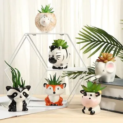 £4.85 • Buy Cartoon Flower Pots Garden Ornaments Succulent Ceramics Cute Animal  Plant Pots