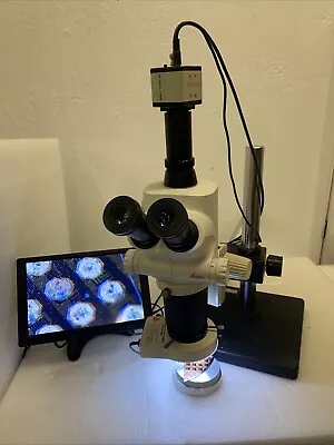 Leica S8APO Stereo Microscope W/ Boom Stand LED Light Monitor & CCD Camera • $5850