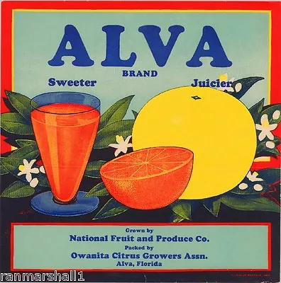 Alva Florida Alva Orange Grapefruit Citrus Fruit Crate Label Vintage Art Print • $11.19