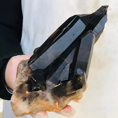 2.87LB Natural Black Smokey Citrine Quartz Crystal Cluster Mineral Healing H791 • $0.99