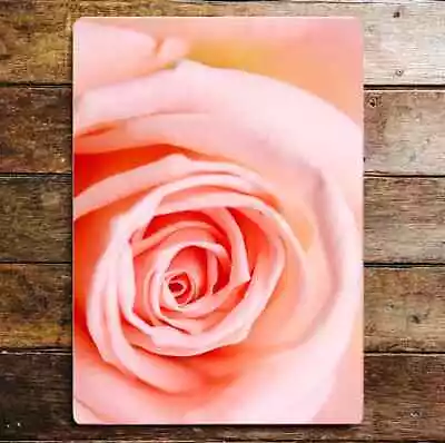 Garden Roses Flower Close Up     Art Metal Sign Plaque • £4.99