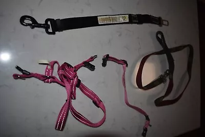 2 Assorted Dog Leads And 1 Dog Harness & 1 Ezydog Adjustbale Car Restraint • $20