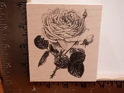 Hampton Art Rose Flower Cam & Chloe Wood Rubber Stamp Euc L5078 • $6.95