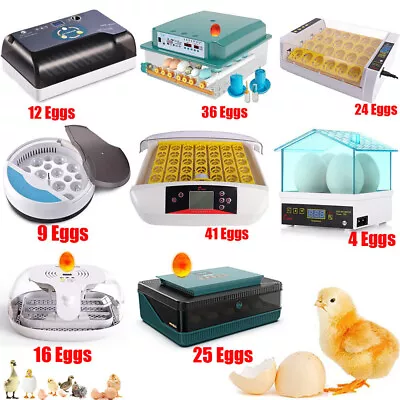 Automatic Egg Incubator Manual Chicken Quail Hatcher Incubators Hatching Eggs • $34.19