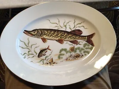 JKW Western Germany LG Porcelain Fish Serving Platter • $17.50