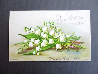 Antique Christmas Card Lily Of The Valley Every Blessing Be Thine Hildesheimer • £3.99