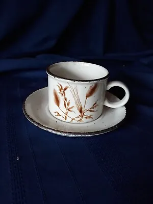 Wedgwood  WiLD  OATS. Midwinter Stoneware Group  Cup & Saucer • £7.72