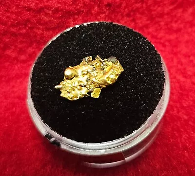 California Natural Gold Nugget 1.9 Grams Total Weight In A Gem Jar W/lid • $154