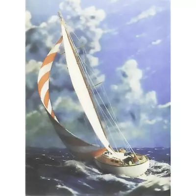 Racing Yacht - 3D Lenticular Poster - 12 X 16 • $22.95