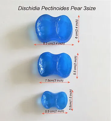 Veiner Resin Molds Dischidia Pectinoides Pear. 3 Size Set. #Ak112. • $12.99