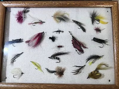 Vintage Freshing Flies Lot Framed In Hardwood Display Antique Man Cave • $99