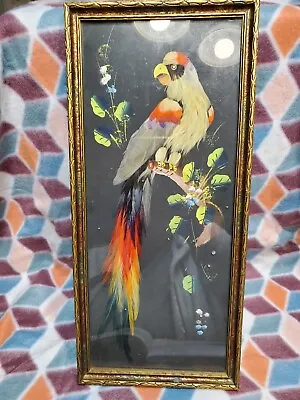 Mexico Vintage Bird Picture Of Feathers And Paint Colorful Art • $19