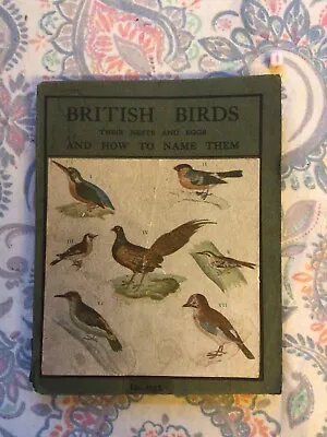 £69.99 • Buy RARE - British Birds Their Nests And Eggs And How To Name Them - Gallichan