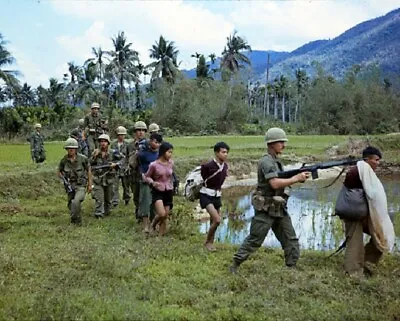 US Infantry Return To Base Camp With Viet Cong POW's 8x10 Vietnam War Photo 658 • $7.43