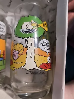 Vintage McDonalds Camp Snoopy PEANUTS Collection Drinking Glass Woodstock • $8