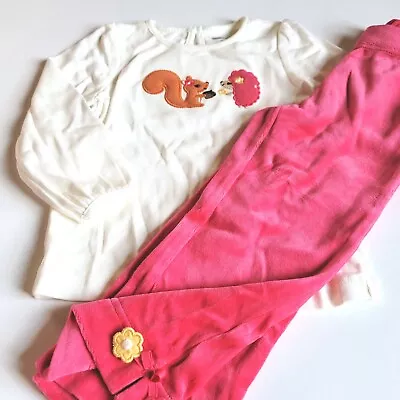 Gymboree 2T Fall For Autumn Hedgehog Squirrel Shirt Pink Velour Pants Set NWT  • $27.88