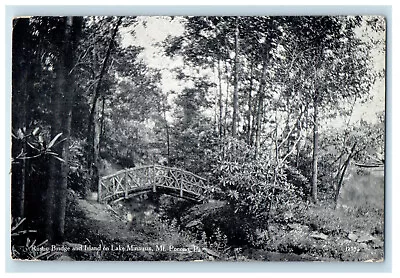 1915 Rustic Bridge And Island On Lake Minausin Mt. Pocono PA Vintage Postcard • $14.98