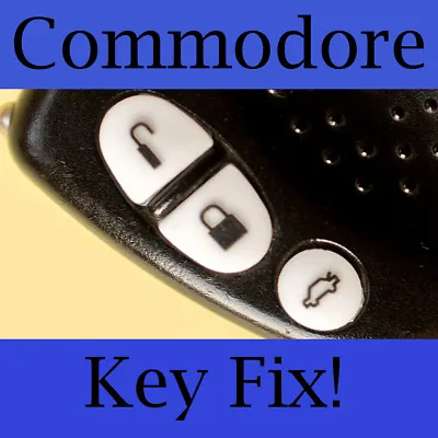 Holden Commodore Key Buttons VS VT VX VY VZ White Set • $3.80