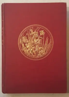 The Fairy Book Rare 1923 Hardcover 16 Full Colour Illustrations By Warwick Goble • £145