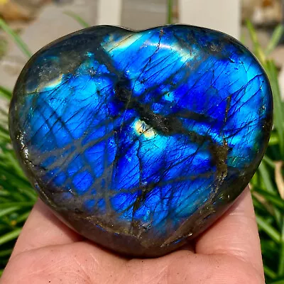 242G Natural Flashy Labradorite Heart Quartz Crystal Reiki Healing Energy Stone • $2.29