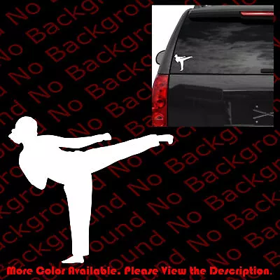 KARATE GIRL Vinyl Car Window Decal Fight Kung Fu Kick Material Arts MMA SP017 • $2.25