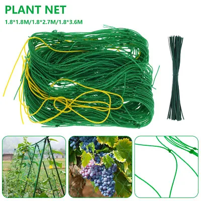 £8.36 • Buy Plant Support Climbing Netting Garden Mesh Vegetable Fruit Pea Bean Trellis Net